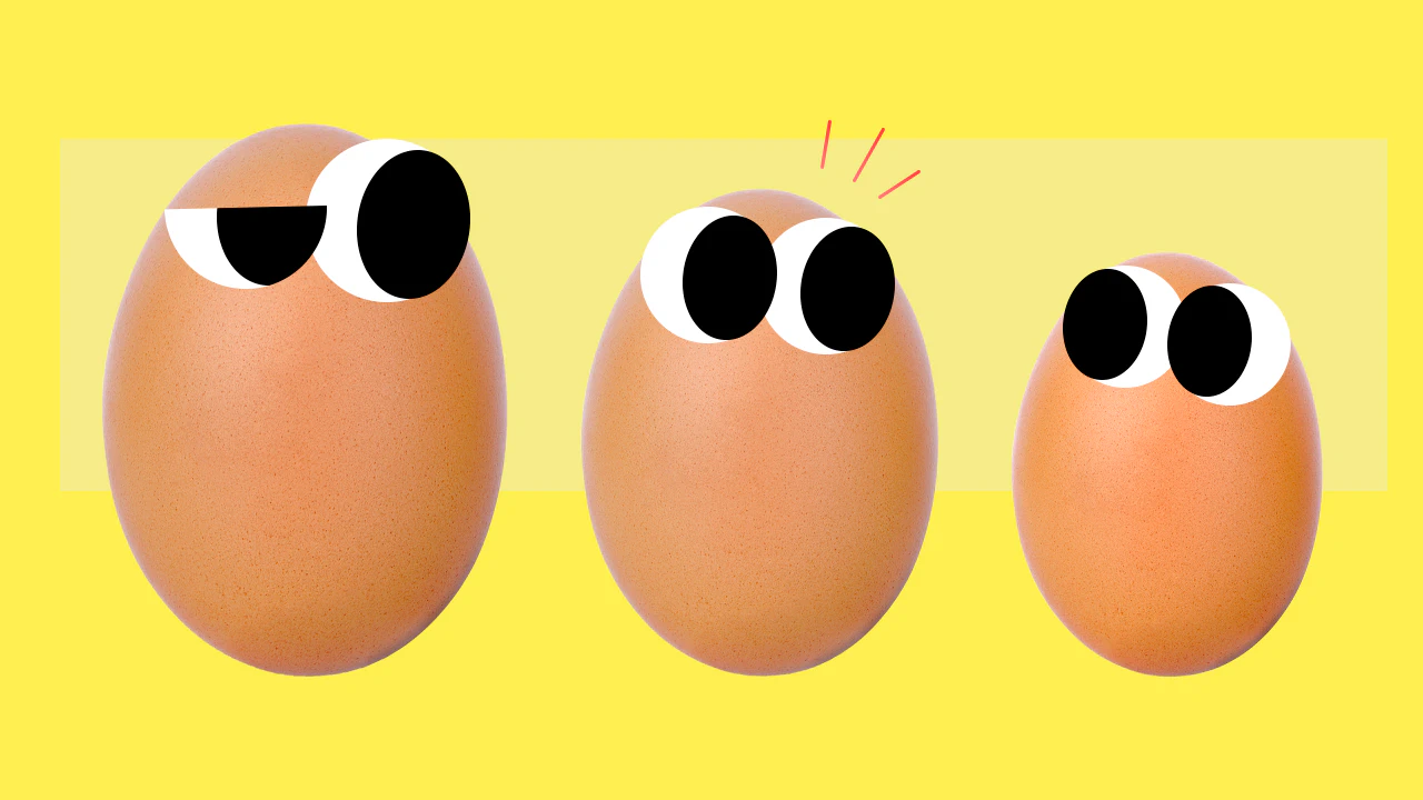 Разбираемся, как отличить свежие яйца от давно лежащих, что значат цифры на упаковке и какие птицы несут лучшие яйца