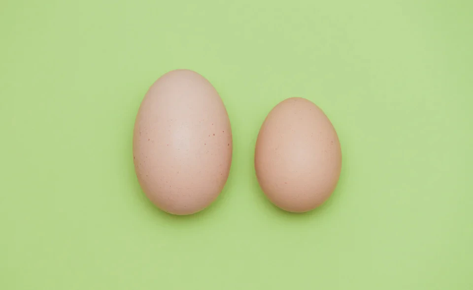 Разбираемся, как отличить свежие яйца от давно лежащих, что значат цифры на упаковке и какие птицы несут лучшие яйца