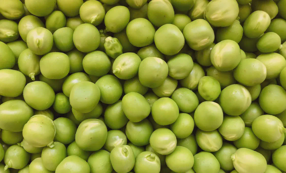 Как выбрать продукты для «Оливье», зеленый горошек